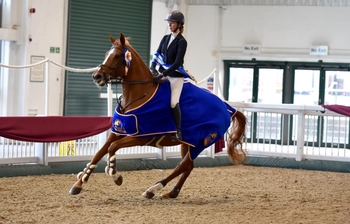 Charley Hamilton & Innishannon Red Squirrel win the Equissage Pulse Senior British Novice Championship